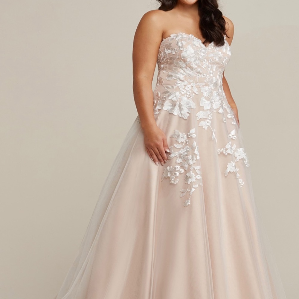 Size 26 Wedding Dress - Picture 3 of 3